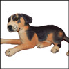 Black Dog - (Soft Toy) - Click here to View more details about this Product